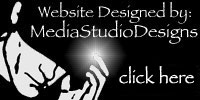  Website Design by mediastudiodesigns.com link 
