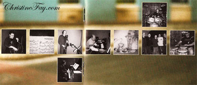 christinefay.com Dan Siegel Departure CD Covers